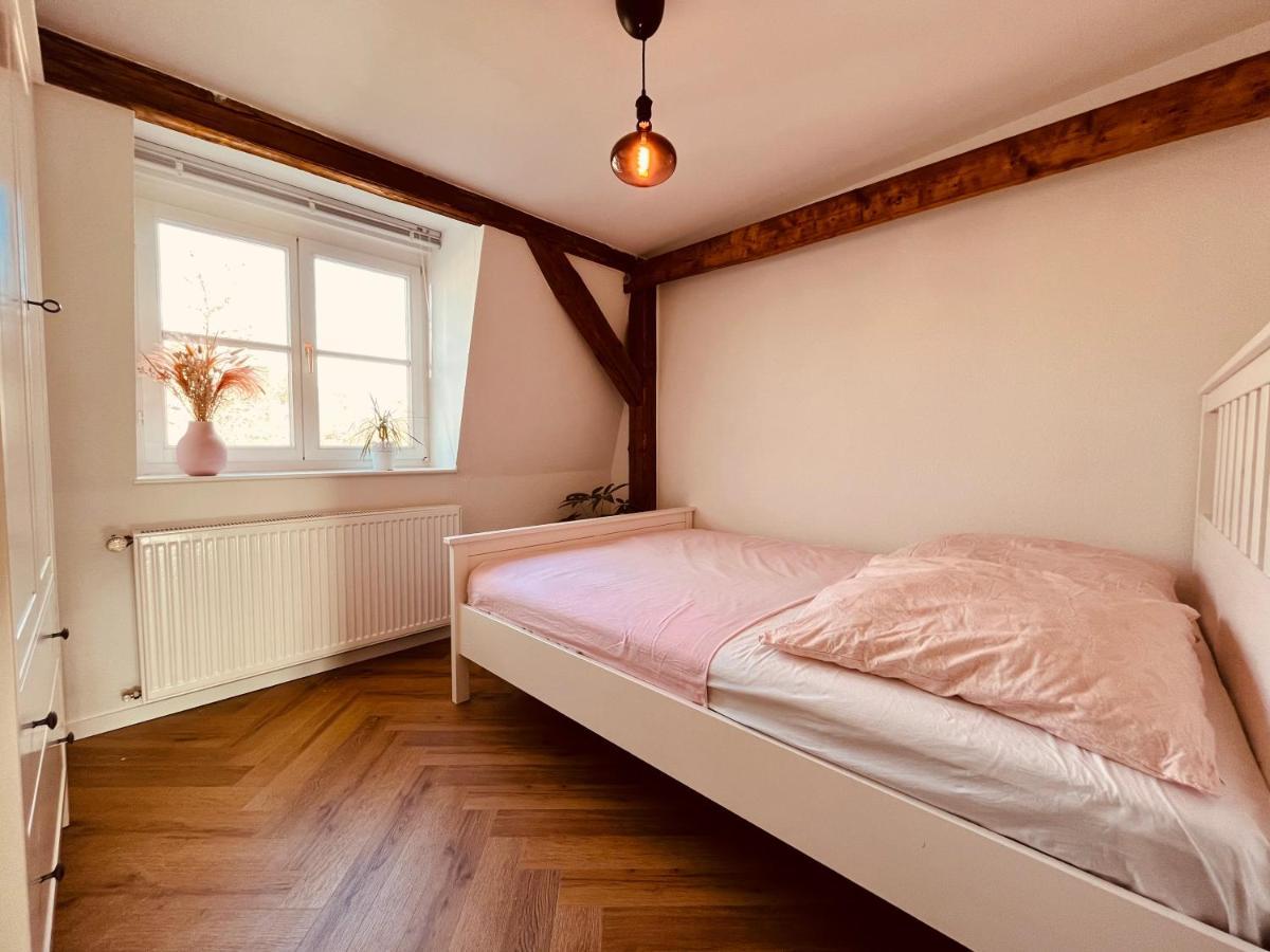 Jugendstil-Altbauwohnung Mit Dachterrasse Direkt An Der Karlsaue Cassel Extérieur photo