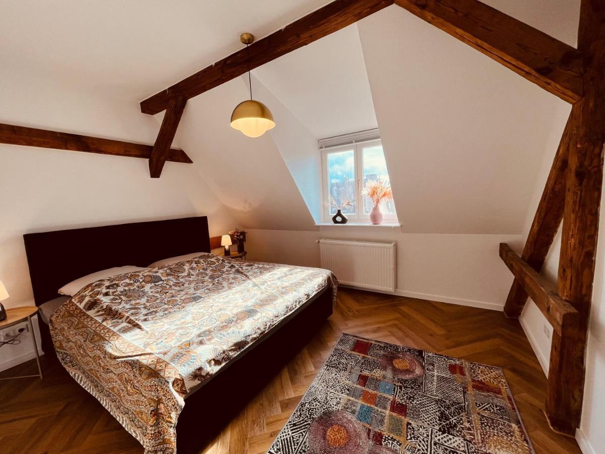 Jugendstil-Altbauwohnung Mit Dachterrasse Direkt An Der Karlsaue Cassel Extérieur photo